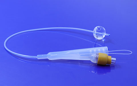 狗狗使用導尿管需要怎么操作？